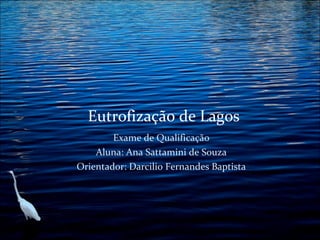 Eutrofização de Lagos
Exame de Qualificação
Aluna: Ana Sattamini de Souza
Orientador: Darcilio Fernandes Baptista

 