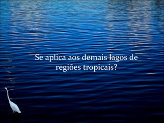 Se aplica aos demais lagos de
regiões tropicais?

 