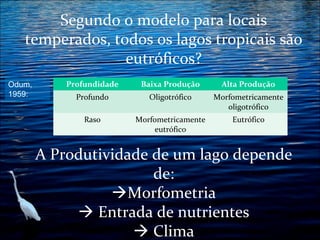 Segundo o modelo para locais
temperados, todos os lagos tropicais são
eutróficos?
Odum,
1959:

Profundidade

Baixa Produção

Alta Produção

Profundo

Oligotrófico

Morfometricamente
oligotrófico

Raso

Morfometricamente
eutrófico

Eutrófico

A Produtividade de um lago depende
de:
Morfometria
 Entrada de nutrientes
 Clima

 