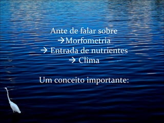 Ante de falar sobre
Morfometria
 Entrada de nutrientes
 Clima
Um conceito importante:

 