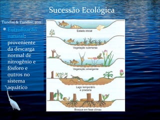 Sucessão Ecológica
Tundisi & Tundisi, 2011

 Eutrofização

natural:
proveniente
da descarga
normal de
nitrogênio e
fósforo e
outros no
sistema
aquático

 