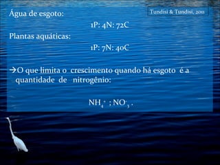 Tundisi & Tundisi, 2011

Água de esgoto:
1P: 4N: 72C
Plantas aquáticas:
1P: 7N: 40C

O que limita o crescimento quando há esgoto é a
quantidade de nitrogênio:
NH4+ ; NO-3 .

 