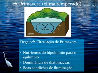  Primavera (clima temperado) Esteves, 1998

Degelo Circulação de Primavera
• Nutrientes do hipolímnio para o

epilímnio
• Dominância de diatomáceas
• Boas condições de iluminação

 