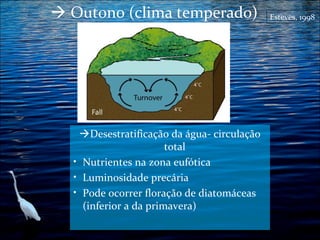  Outono (clima temperado)

Desestratificação da água- circulação
total
• Nutrientes na zona eufótica
• Luminosidade precária
• Pode ocorrer floração de diatomáceas
(inferior a da primavera)

Esteves, 1998

 