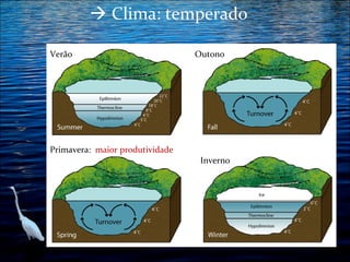  Clima: temperado
Verão

Outono

Primavera: maior produtividade
Inverno

 