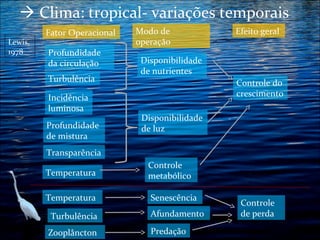  Clima: tropical- variações temporais
Lewis,
1978

Fator Operacional
Profundidade
da circulação
Turbulência
Incidência
luminosa
Profundidade
de mistura

Modo de
operação

Efeito geral

Disponibilidade
de nutrientes
Controle do
crescimento
Disponibilidade
de luz

Transparência
Temperatura

Controle
metabólico

Temperatura

Senescência

Turbulência

Afundamento

Zooplâncton

Predação

Controle
de perda

 