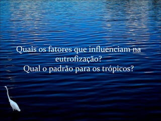 Quais os fatores que influenciam na
eutrofização?
Qual o padrão para os trópicos?

 