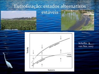 Eutrofização: estados alternativos
estáveis

Scheffer &
van Nes, 2007

 