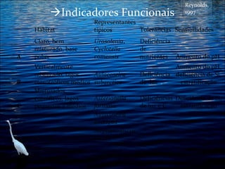 Indicadores Funcionais

Reynolds,
1997

Habitat

A

B

C

Representantes
Tolerâncias Sensibilidades
típicos

Claro, bem
misturado, base
pobre

Urosolenia,
Cyclotella
comensis

Deficiência
de
nutrientes Aumento do pH

Aulacoseira
subarctica

Aumento do pH,
Deficiência deficiência de Si,
de luz
estratificação

Verticalmente
misturado, lagos
mesotróficos médios
Misturados,
eutróficos, lagos
pequenos a médios

Asterionella
Deficiências Deficiência de Si,
formosa
de luz e C
estratificação
Aulacoseira
ambigua
Stephanodiscus
rotula

 