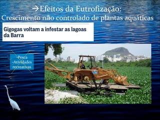 Efeitos da Eutrofização:

Crescimento não controlado de plantas aquáticas

-Pesca
-Atividades
recreativas

 