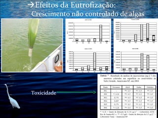 Efeitos da Eutrofização:

Crescimento não controlado de algas

Toxicidade

 