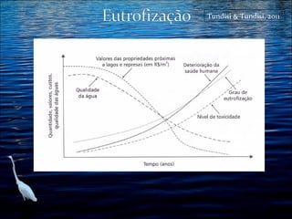 Tundisi & Tundisi, 2011

 