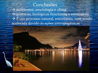 Conclusões

 nutrientes, morfologia e clima
químicos, biológicos funcionais e estruturais...
 É um processo natural, entretanto, vem sendo
acelerada devido às ações antropogênicas

 