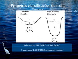 Primeiras classificações de trofia
Thienemann

Relação entre EPILÍMNIO e HIPOLÍMNIO
E quantidade de OXIGÊNIO nessas duas camadas

Schäfer, 1985

 