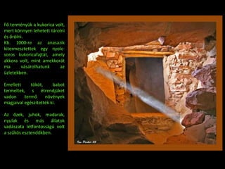 Fő terményük a kukorica volt, mert könnyen lehetett tárolni és őrölni.  Kb. 1000-re az anasazik kitermesztettek egy nyolc-soros kukoricafajtát, amely akkora volt, mint amekkorát ma vásárolhatunk az üzletekben.  Emellett tököt, babot termeltek, s étrendjüket vadon termő növények magjaival egészítették ki.  Az őzek, juhok, madarak, nyulak és más állatok vadászata létfontosságú volt a szűkös esztendőkben. 