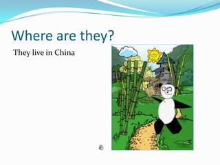 Where are they?They live in China