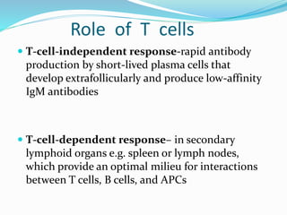 Role of T cells
 T-cell-independent response-rapid antibody
production by short-lived plasma cells that
develop extrafollicularly and produce low-affinity
IgM antibodies
 T-cell-dependent response– in secondary
lymphoid organs e.g. spleen or lymph nodes,
which provide an optimal milieu for interactions
between T cells, B cells, and APCs
 