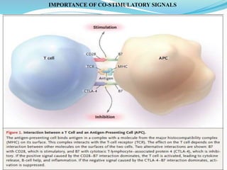 IMPORTANCE OF CO-STIMULATORY SIGNALS
 