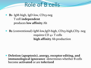 Role of B cells
 B1- IgM-high, IgD-low, CD23-neg
T cell independent
produces low affinity Ab
 B2 (conventional)-IgM-low,IgD-high, CD23-high,CD5- neg
requires CD 4+ T cells
high affinity Ab production
 Deletion (apoptosis), anergy, receptor editing, and
immunological ignorance -determines whether B cells
become activated or are tolerized
 