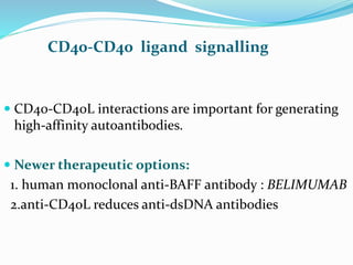 CD40-CD40 ligand signalling
 CD40-CD40L interactions are important for generating
high-affinity autoantibodies.
 Newer therapeutic options:
1. human monoclonal anti-BAFF antibody : BELIMUMAB
2.anti-CD40L reduces anti-dsDNA antibodies
 