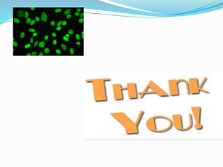 anti nuclear antibody