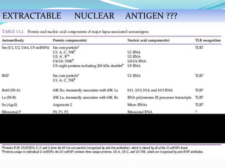 ANANUCLEAR LINE ANTIGEN ???EXTRACTABLE NUCLEAR ANTIGEN ???
 