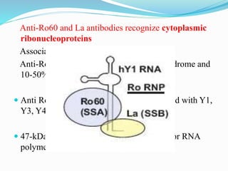 Anti-Ro60 and La antibodies recognize cytoplasmic
ribonucleoproteins
Associated with sicca syndrome
Anti-Ro60:60-80% of primary Sjogren syndrome and
10-50% SLE patients
 Anti Ro60 bind to 60-kDa protein associated with Y1,
Y3, Y4, or Y5 RNA.
 47-kDa La antigen is a termination factor for RNA
polymerase III
 