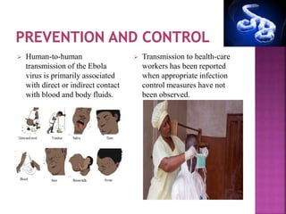  Human-to-human
transmission of the Ebola
virus is primarily associated
with direct or indirect contact
with blood and body fluids.
 Transmission to health-care
workers has been reported
when appropriate infection
control measures have not
been observed.
 