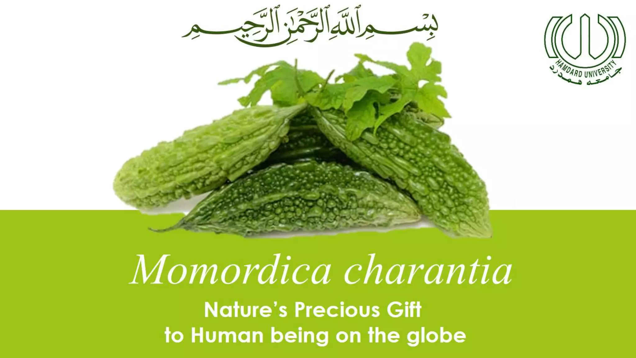 Momordica charantia Bitter melon/gourd and Its Effects on Diabetes