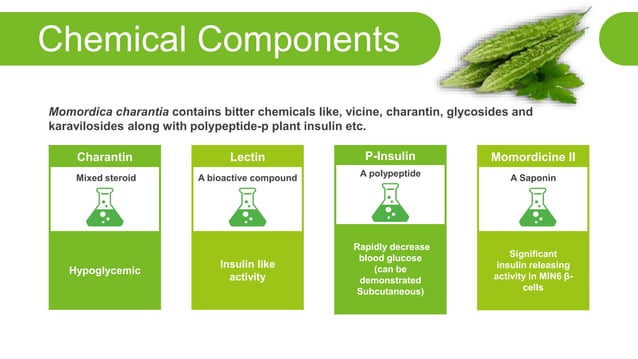 momordica-charantia-bitter-melon-gourd-and-its-effects-on-diabetes