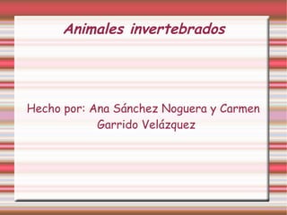 Animales invertebrados Hecho por: Ana Sánchez Noguera y Carmen Garrido Velázquez 