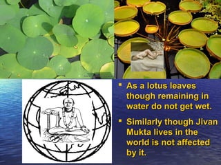  AAss aa lloottuuss lleeaavveess 
tthhoouugghh rreemmaaiinniinngg iinn 
wwaatteerr ddoo nnoott ggeett wweett.. 
 SSiimmiillaarrllyy tthhoouugghh JJiivvaann 
MMuukkttaa lliivveess iinn tthhee 
wwoorrlldd iiss nnoott aaffffeecctteedd 
bbyy iitt.. 
 