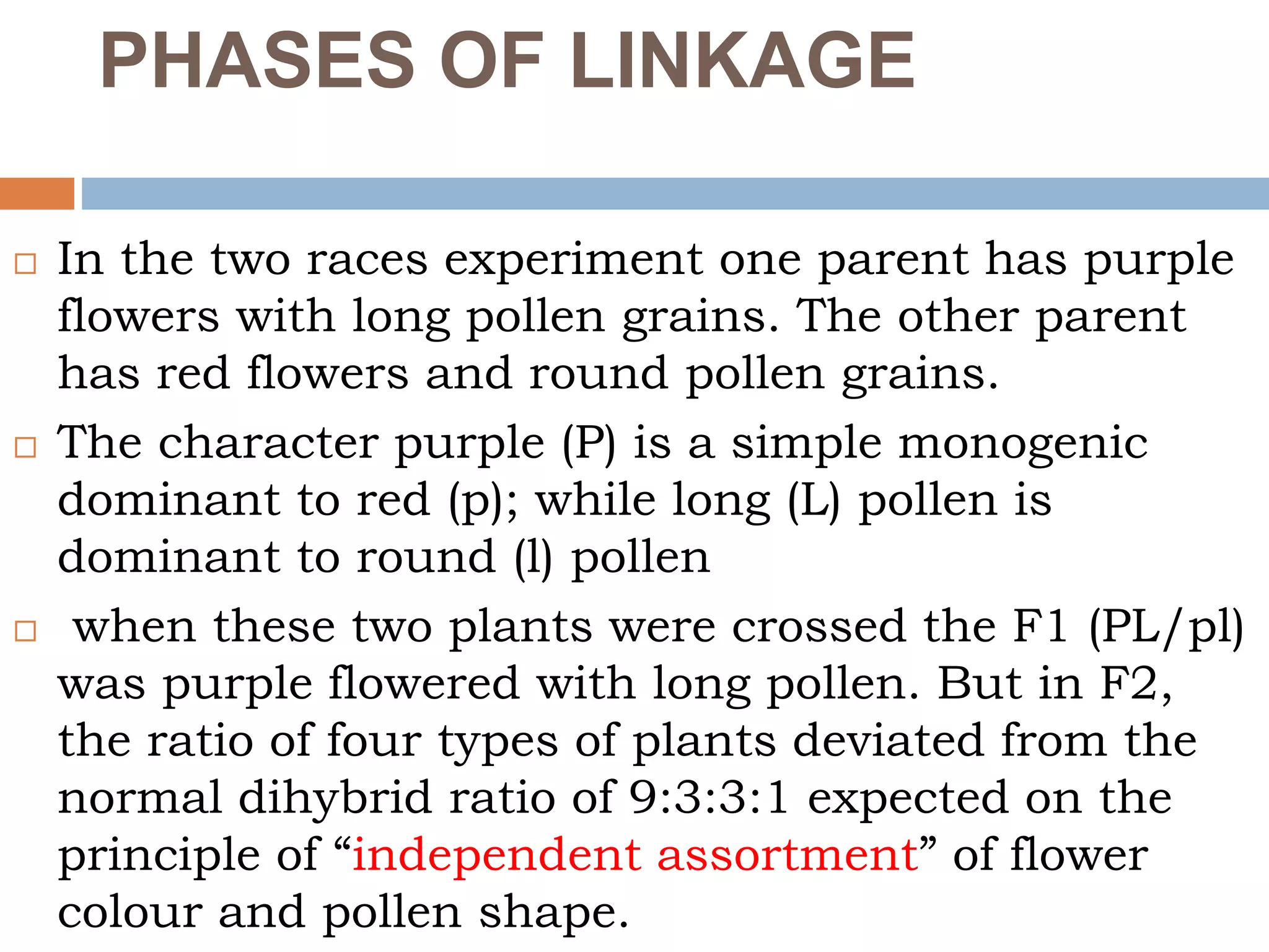 PHASES OF LINKAGE
 In the two races experiment one parent has purple
flowers with long pollen grains. The other parent
has red flowers and round pollen grains.
 The character purple (P) is a simple monogenic
dominant to red (p); while long (L) pollen is
dominant to round (l) pollen
 when these two plants were crossed the F1 (PL/pl)
was purple flowered with long pollen. But in F2,
the ratio of four types of plants deviated from the
normal dihybrid ratio of 9:3:3:1 expected on the
principle of “independent assortment” of flower
colour and pollen shape.
 
