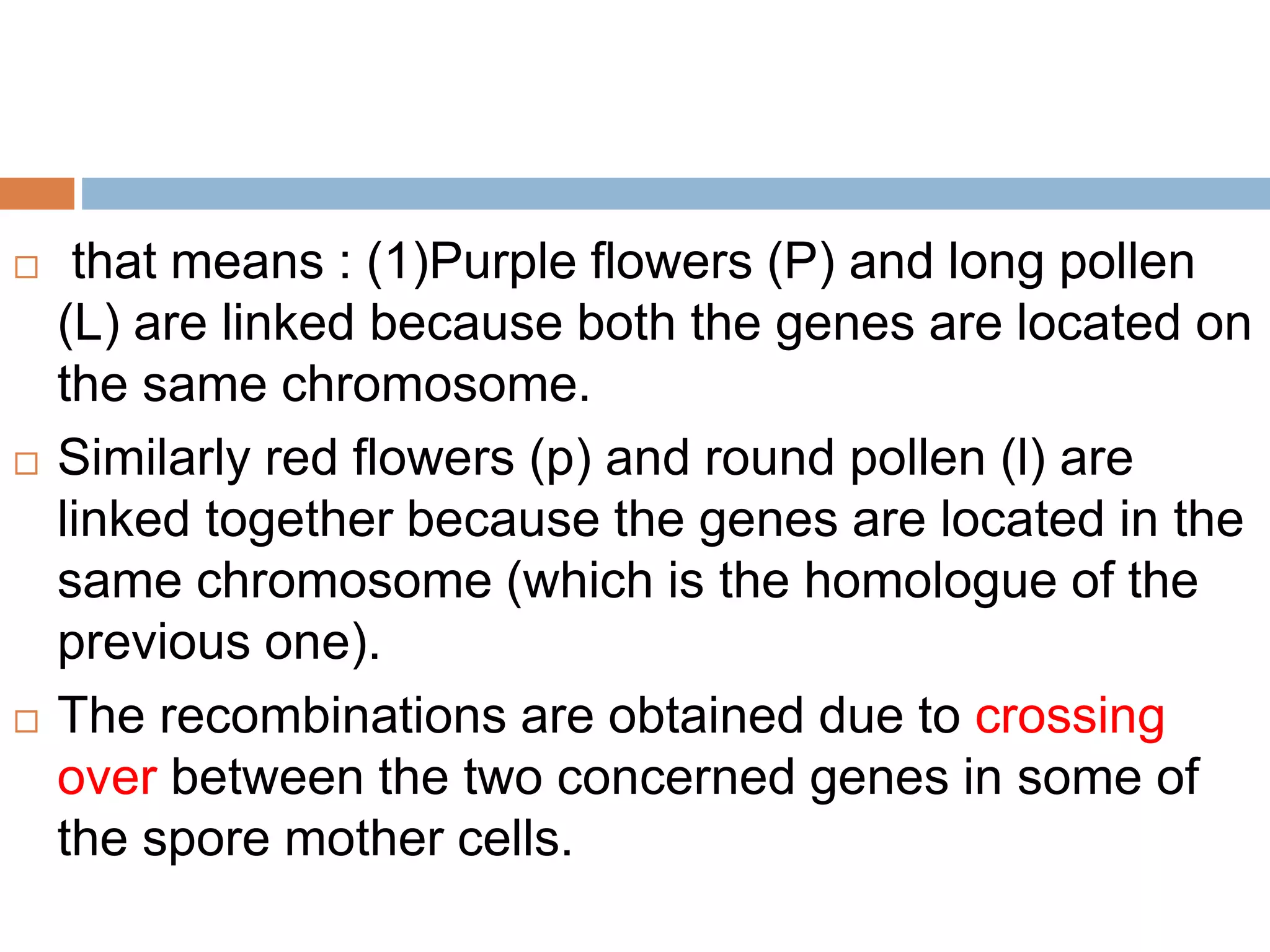  that means : (1)Purple flowers (P) and long pollen
(L) are linked because both the genes are located on
the same chromosome.
 Similarly red flowers (p) and round pollen (l) are
linked together because the genes are located in the
same chromosome (which is the homologue of the
previous one).
 The recombinations are obtained due to crossing
over between the two concerned genes in some of
the spore mother cells.
 