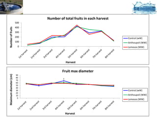 Number of total fruits in each harvest
                        500
                        400
Number of fruits




                        300
                        200                                            Control (wW)
                        100                                            Anthoupoli (WW)
                         0                                             Lemesos (WW)




                                         Harvest


                                       Fruit max diameter
Maximum diameter (cm)




                        90
                        80
                        70
                        60
                        50
                        40
                        30                                             Control (wW)
                        20
                        10                                             Anthoupoli (WW)
                         0
                                                                       Lemesos (WW)




                                         Harvest
 