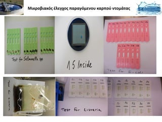 Μικροβιακός έλεγχος παραγόμενου καρπού ντομάτας
 