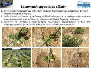 Ερευνητική εργασία σε εξέλιξη
1. Συνέχιση του πειραματισμού της δέσμης εργασίας 2 με προσθήκη διαφορετικών φυτικών
   ειδών (μελιτζάνας, πιπεριάς).
2. Μελέτη των επιπτώσεων της άρδευσης φυλλωδών λαχανικών με επεξεργασμένο νερό στο
   μικροβιακό φορτίο του παραγόμενου εδώδιμου προϊόντος (μαρούλι, μπρόκολο).
3. Ποιοτικός και ποσοτικός προσδιορισμός επιλεγμένων φαρμακευτικών ουσιών στα
   επαναχρησιμοποιούμενα λύματα καθώς και στους παραγόμενους καρπούς.
 