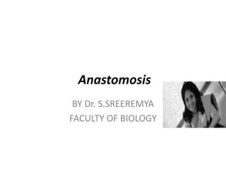 Anastomosis
BY Dr. S.SREEREMYA
FACULTY OF BIOLOGY
 