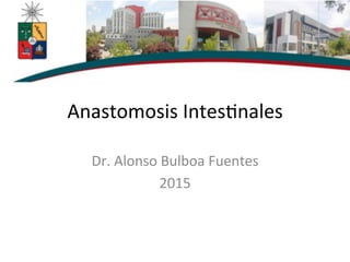Anastomosis	
  Intes,nales	
  
Dr.	
  Alonso	
  Bulboa	
  Fuentes	
  
2015	
  
 