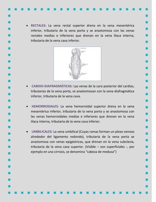  La vena rectal superior drena en la vena mesentéricaRECTALES:
inferior, tributaria de la vena porta y se anastomosa con las venas
rectales medias e inferiores que drenan en la vena ilíaca interna,
tributaria de la vena cava inferior.
 Las venas de la cara posterior del cardias,CARDIO-DIAFRAGMÁTICAS:
tributarias de la vena porta, se anastomosan con la vena diafragmática
inferior, tributaria de la vena cava.
 La vena hemorroidal superior drena en la venaHEMORROIDALES:
mesentérica inferior, tributaria de la vena porta y se anastomosa con
las venas hemorroidales medias e inferiores que drenan en la vena
ilíaca interna, tributaria de la vena cava inferior.
 La vena umbilical (Cuyas ramas forman un plexo venosoUMBILICALES:
alrededor del ligamento redondo), tributaria de la vena porta se
anastomosa con venas epigástricas, que drenan en la vena subclavia,
tributaria de la vena cava superior. (Visible – son superficiales -, por
ejemplo en una cirrosis, se denomina “cabeza de medusa”)
 