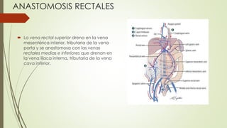 ANASTOMOSIS RECTALES
 La vena rectal superior drena en la vena
mesentérica inferior, tributaria de la vena
porta y se anastomosa con las venas
rectales medias e inferiores que drenan en
la vena ilíaca interna, tributaria de la vena
cava inferior.
 