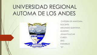 UNIVERSIDAD REGIONAL
AUTOMA DE LOS ANDES
CATEDRA DE ANATOMIA.
DOCENTE:
ARMANDO QUINTANA.
ALUMNO:
JOHAN PAUCAR.
CURSO:
2DO.
PARARELO
“D”.
 