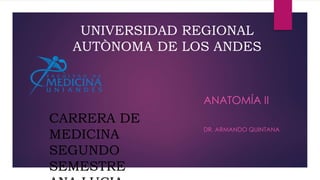 UNIVERSIDAD REGIONAL
AUTÒNOMA DE LOS ANDES
ANATOMÍA II
DR. ARMANDO QUINTANA
CARRERA DE
MEDICINA
SEGUNDO
SEMESTRE
 