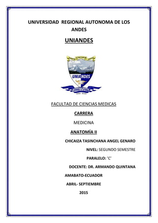 UNIVERSIDAD REGIONAL AUTONOMA DE LOS
ANDES
UNIANDES
FACULTAD DE CIENCIAS MEDICAS
CARRERA
MEDICINA
ANATOMÍA II
CHICAIZA TASINCHANA ANGEL GENARO
NIVEL: SEGUNDO SEMESTRE
PARALELO: ‘C’
DOCENTE: DR. ARMANDO QUINTANA
AMABATO-ECUADOR
ABRIL- SEPTIEMBRE
2015
 