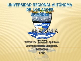 UNIVERSIDAD REGIONAL AUTÓNOMA
DE LOS ANDES
UNIANDES
TUTOR: Dr.: Armando Quintana
Alumna: Nathaly Lombeida.
MEDICINA
ll “C”
 