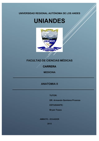UNIVERSIDAD REGIONAL AUTÓNOMA DE LOS ANDES
UNIANDES
FACULTAD DE CIENCIAS MÉDICAS
CARRERA
MEDICINA
ANATOMIA II
TUTOR:
DR. Armando Quintana Proenza
ESTUDIANTE:
Bryan Toaza
AMBATO – ECUADOR
2015
 