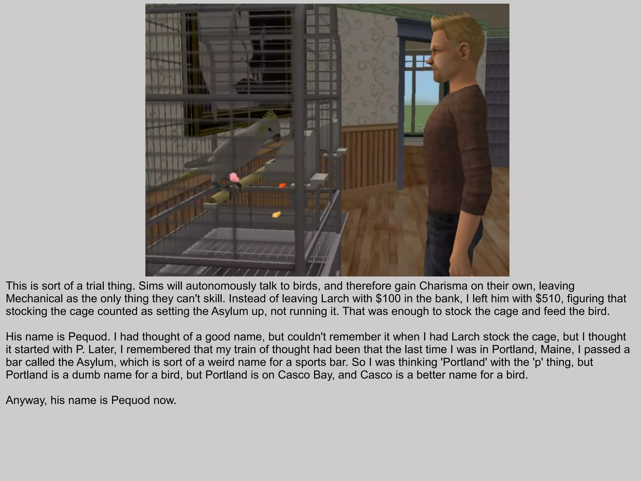 This is sort of a trial thing. Sims will autonomously talk to birds, and therefore gain Charisma on their own, leaving
Mechanical as the only thing they can't skill. Instead of leaving Larch with $100 in the bank, I left him with $510, figuring that
stocking the cage counted as setting the Asylum up, not running it. That was enough to stock the cage and feed the bird.

His name is Pequod. I had thought of a good name, but couldn't remember it when I had Larch stock the cage, but I thought
it started with P. Later, I remembered that my train of thought had been that the last time I was in Portland, Maine, I passed a
bar called the Asylum, which is sort of a weird name for a sports bar. So I was thinking 'Portland' with the 'p' thing, but
Portland is a dumb name for a bird, but Portland is on Casco Bay, and Casco is a better name for a bird.

Anyway, his name is Pequod now.
 