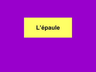 L’épaule 
