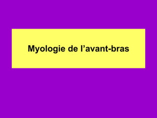 Myologie de l’avant-bras 