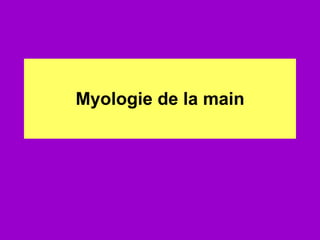 Myologie de la main 